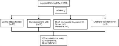 The Complexity of Blood Pressure Fluctuation Mediated the Effects of Hypertension on Walking Speed in Older Adults